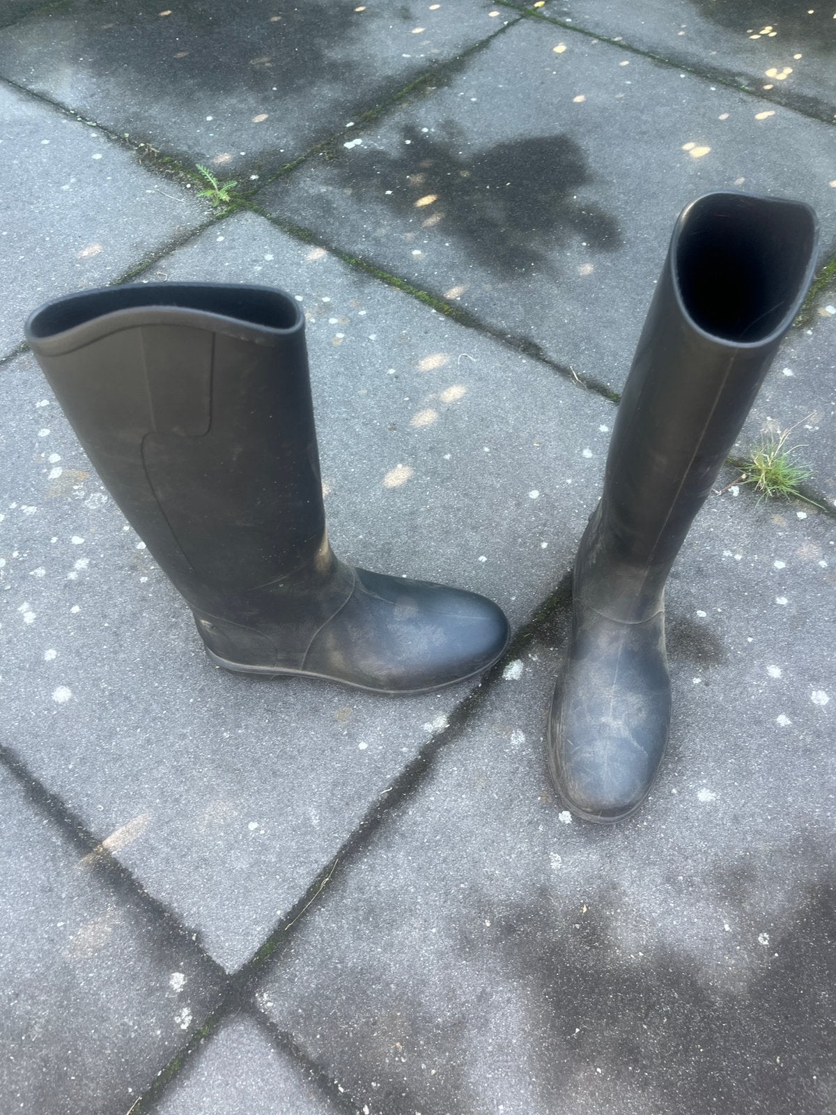 Paardrijlaarzen maat 35+rijbroek maat 152 (valt wat klein), Dieren en Toebehoren, Ophalen, Zo goed als nieuw, Dressuur, Onderkleding