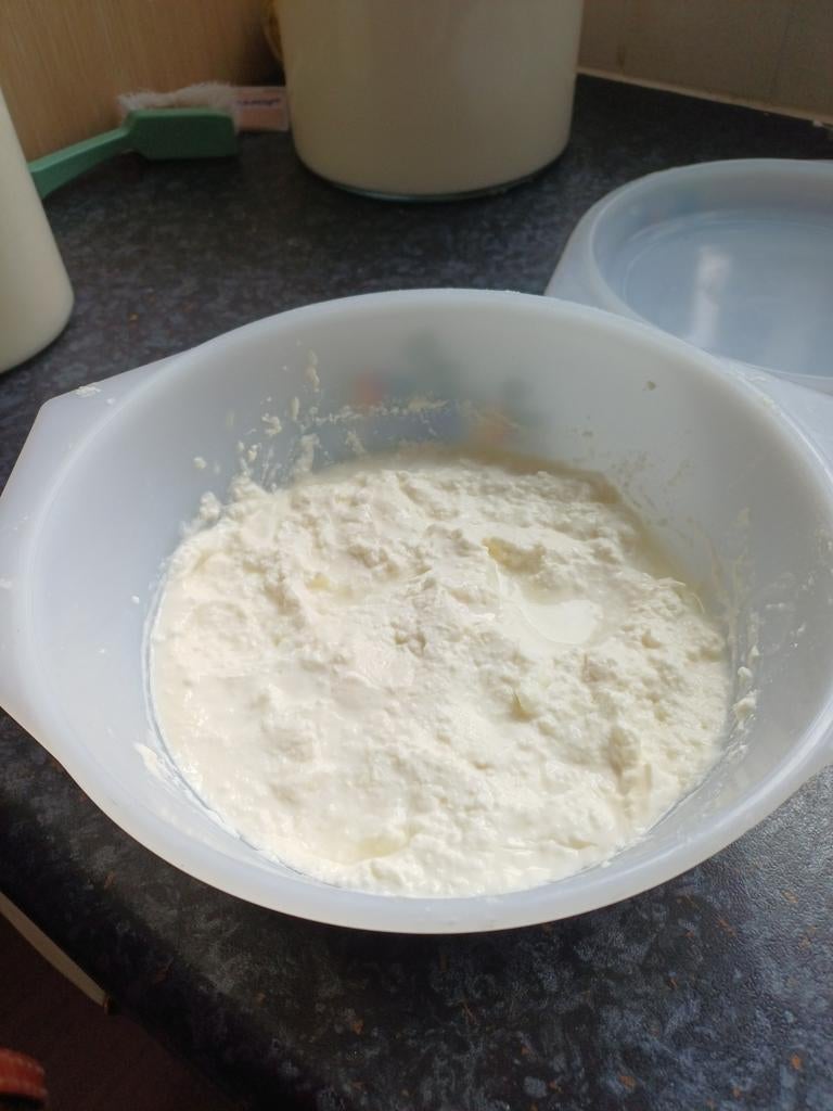 Biologische melk kefir korrels, Ophalen of Verzenden