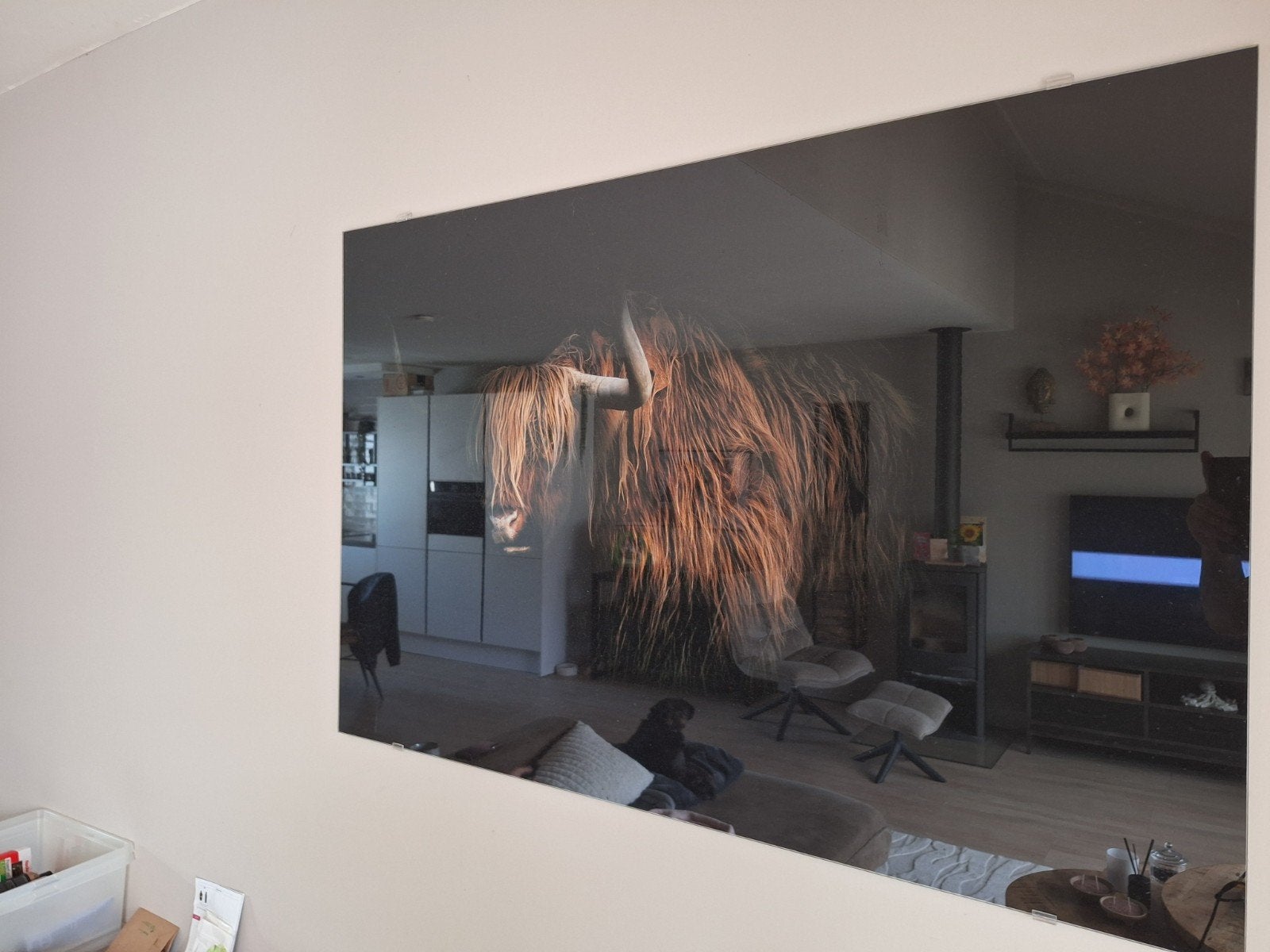 Glazen wanddecoratie Schotse Hooglander 120x80 cm, Ophalen, 120 cm, 80 cm, Glas