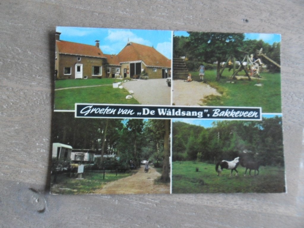 Bakkeveen, camping kampeerboerderij De Waldsang 1982, Verzenden, 1980 tot heden, Gelopen, Noord-Brabant