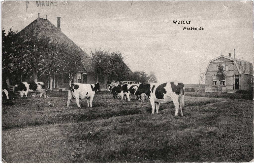 700866 Warder NH Westeinde Postzegel Afgeweekt