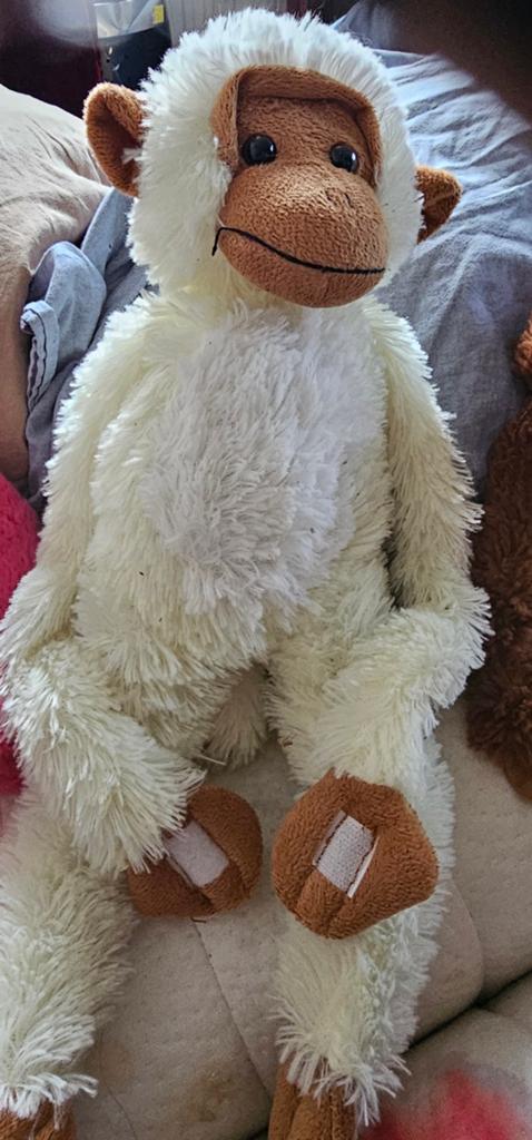 Witte pluche aap knuffel, Gebruikt, Ophalen of Verzenden, Middelgroot (20 tot 80 cm), Wit