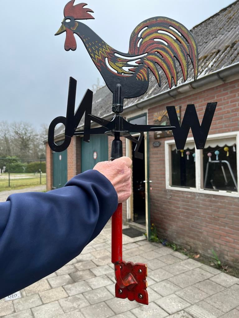 Kunststof Windwijzer met Haan - Decoratief en Functioneel, Tuin en Terras, Ophalen of Verzenden, Gebruikt