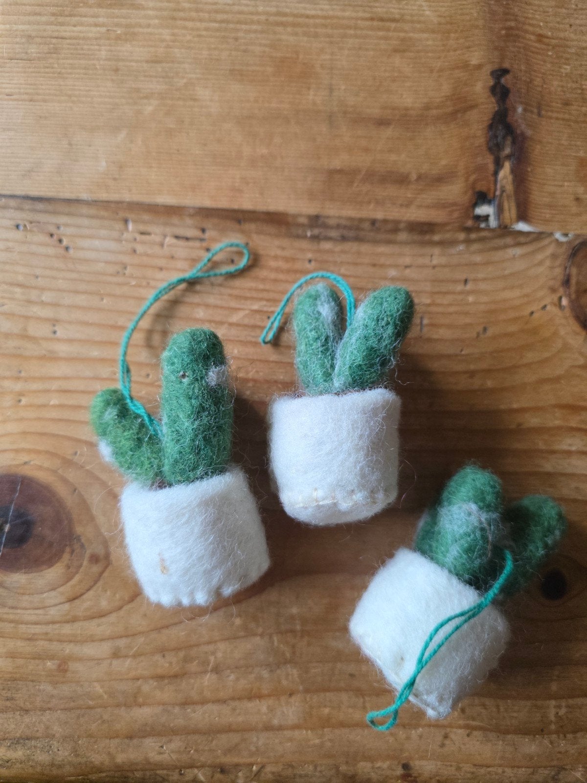 Vilten cactus hangers - 3 stuks, handgemaakt in Nepal, Ophalen of Verzenden, Nieuw