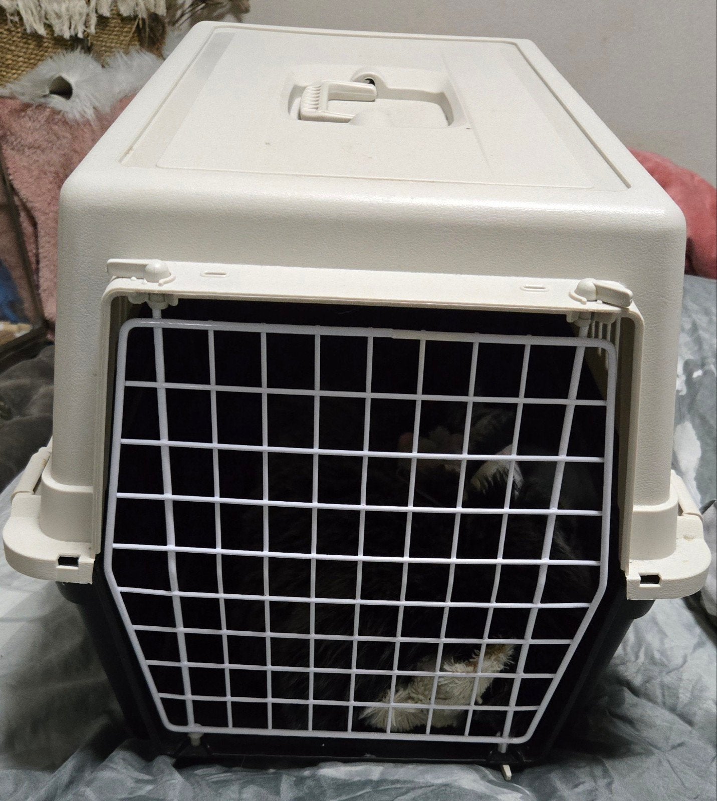 Fijne vervoersbox voor kat of (kleine)hond, Ophalen of Verzenden, Zo goed als nieuw