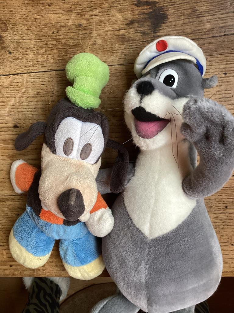 Leuke Mickey Mouse knuffel, Kinderen en Baby's, Speelgoed | Knuffels en Pluche, Muis, Gebruikt, Disney, Ophalen of Verzenden