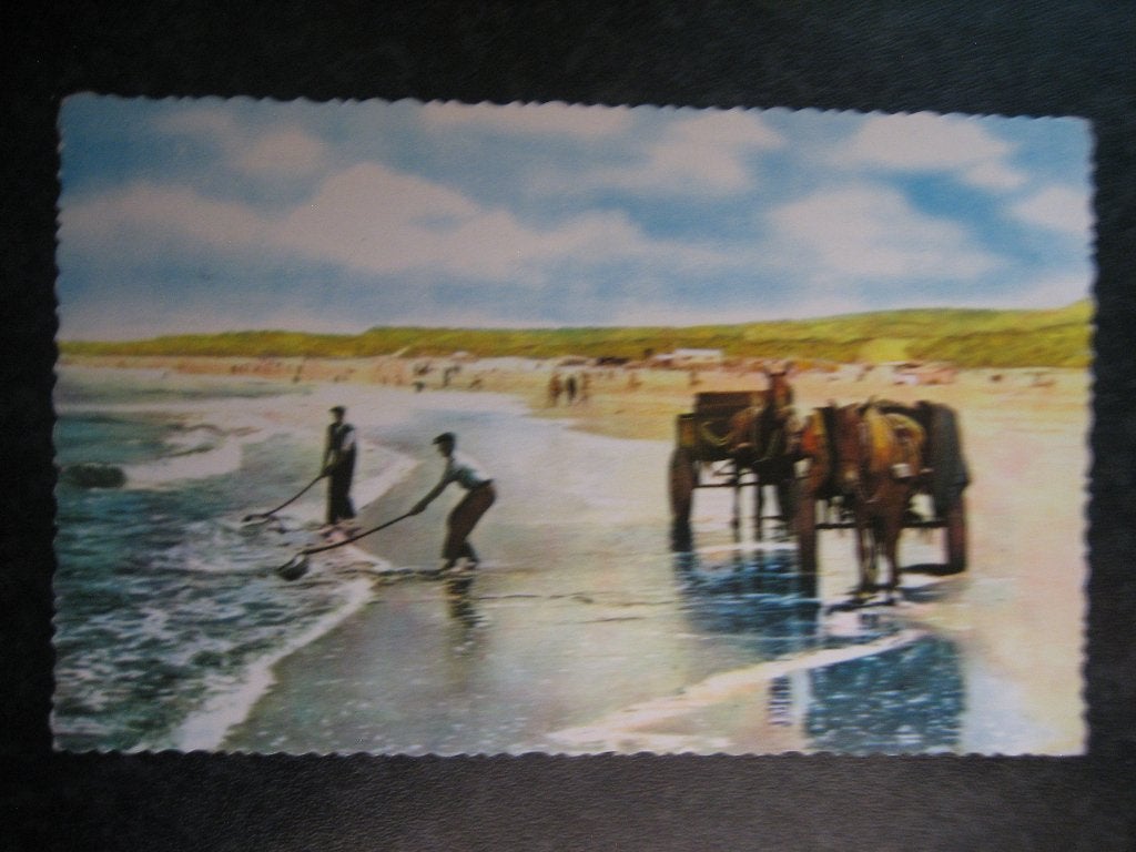 SCHEVENINGEN Schelpenvissers kleur 1961, Ophalen of Verzenden, 1960 tot 1980, Zuid-Holland
