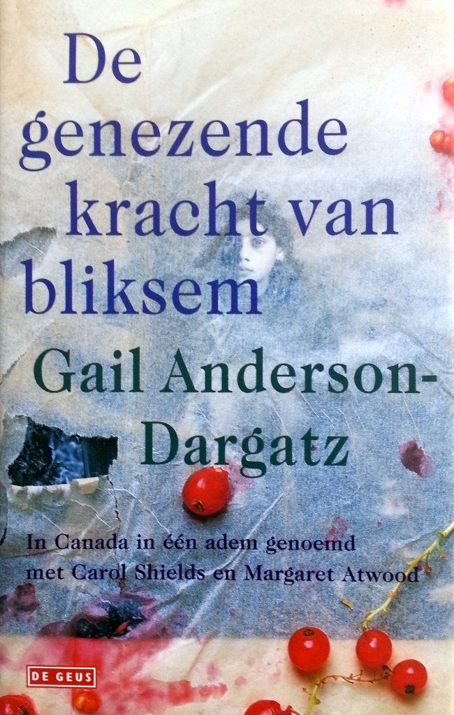 Gail Anderson-Dargatz - De genezende kracht van bliksem, Boeken, Ophalen of Verzenden, Zo goed als nieuw, Wereld overig