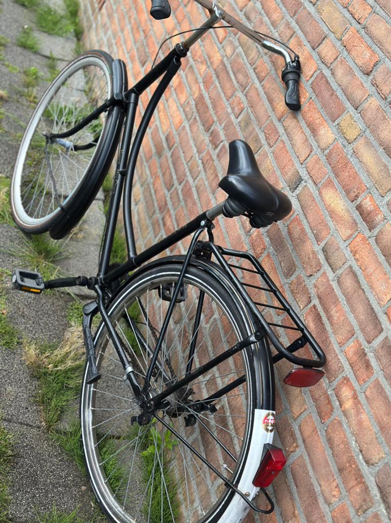 28 inch Damesfiets Giant  met 3versnellingen, Ophalen, Sparta, Versnellingen, 53 tot 56 cm