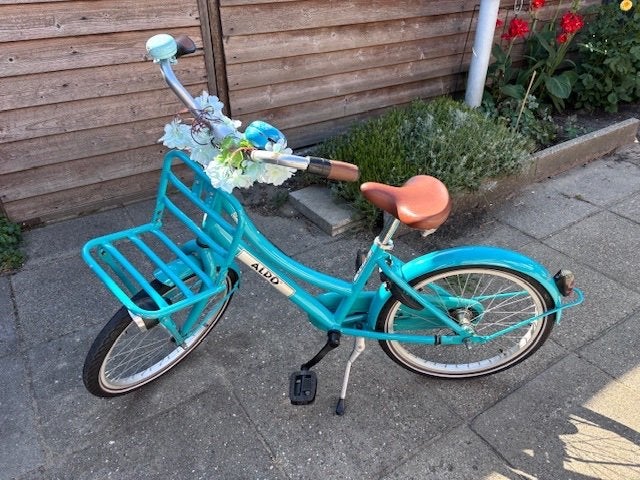 Meisjes fiets, Ophalen, Terugtraprem, Gebruikt, Cargo