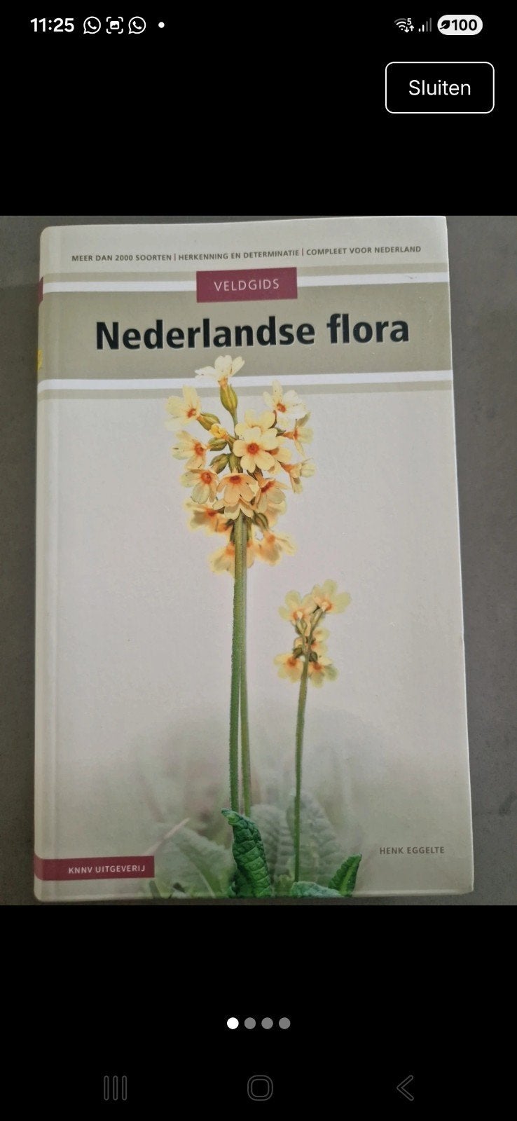 Veldgids Nederlandse Flora - Gloednieuw, Boeken, Ophalen of Verzenden, Nieuw, Bloemen, Planten en Bomen, Henk Eggelte