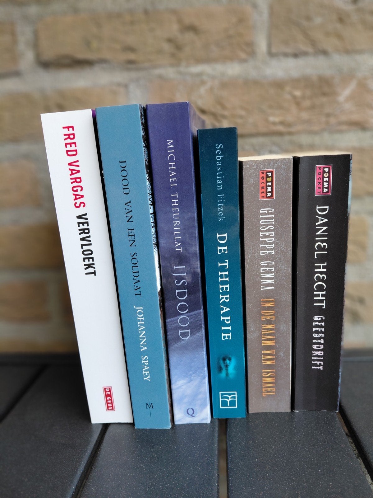 6x Thriller: Fred Vargas, Michael Theurillat, Daniel Hech, Ophalen of Verzenden, Zo goed als nieuw, Daniel Hecht