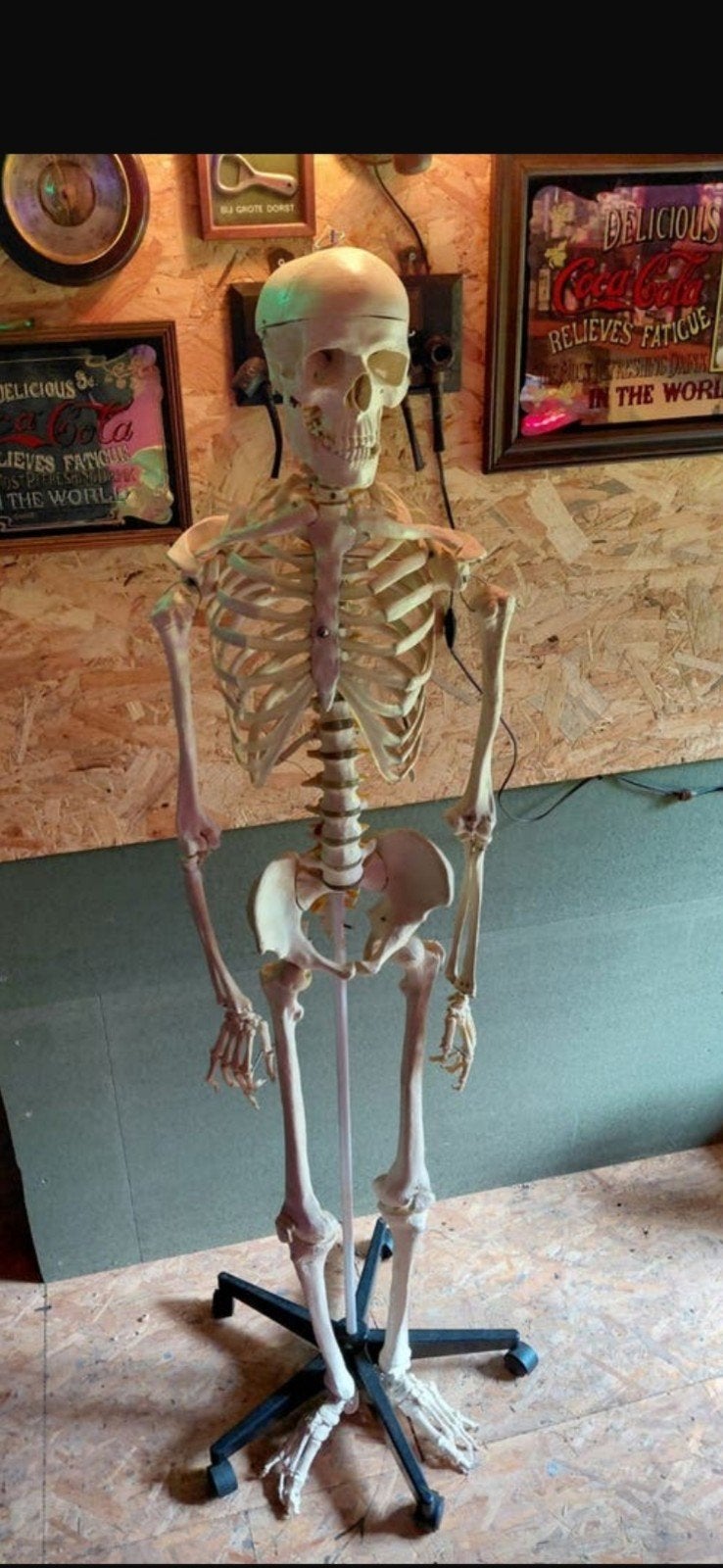 Skelet op Rolstandaard, Ophalen