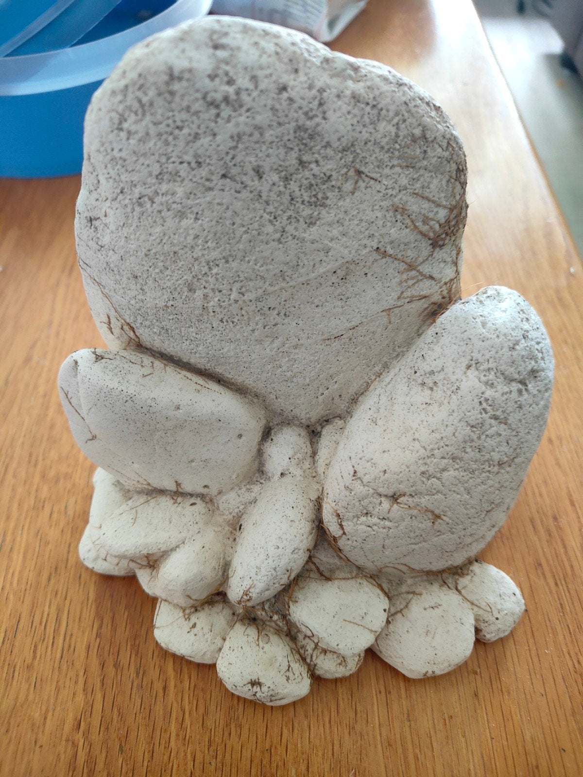 decoratie, Dieren en Toebehoren, Ophalen, Gebruikt, Decoratie