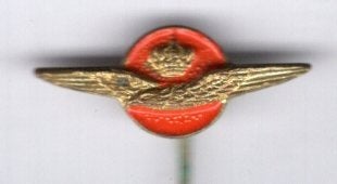 Koninklijke luchtmacht rood op koper speldje ( P_058), Verzenden, Zo goed als nieuw, Stad of Land, Speldje of Pin
