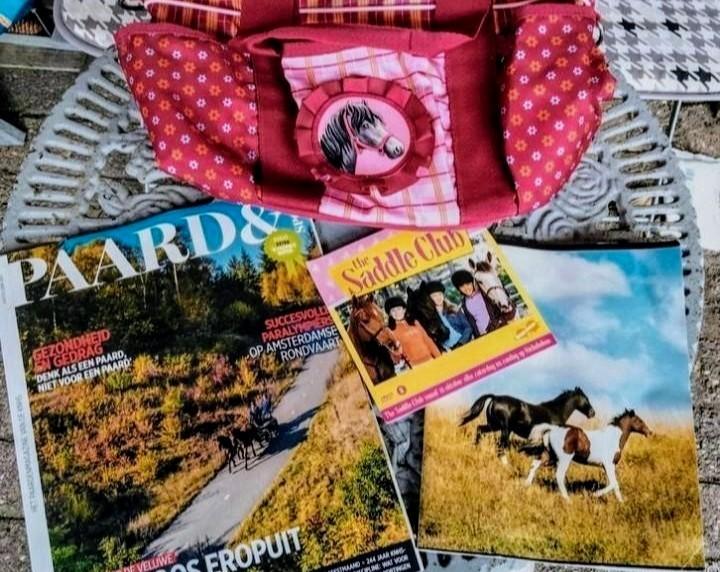 Sweet Holy tas, (tijd)schrift en DVD, Ophalen of Verzenden, Nieuw, Overige soorten