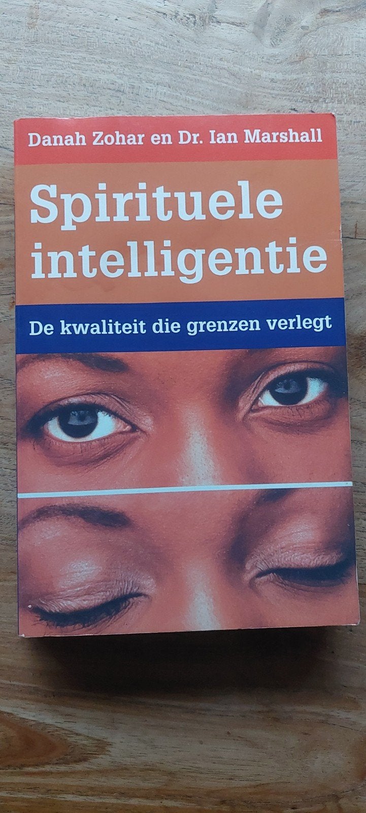 Spirituele intelligentie: De kwaliteit die grenzen verlegt, Boeken, Gelezen, Spiritualiteit algemeen, Danah Zohar en Dr. Ian Marshall