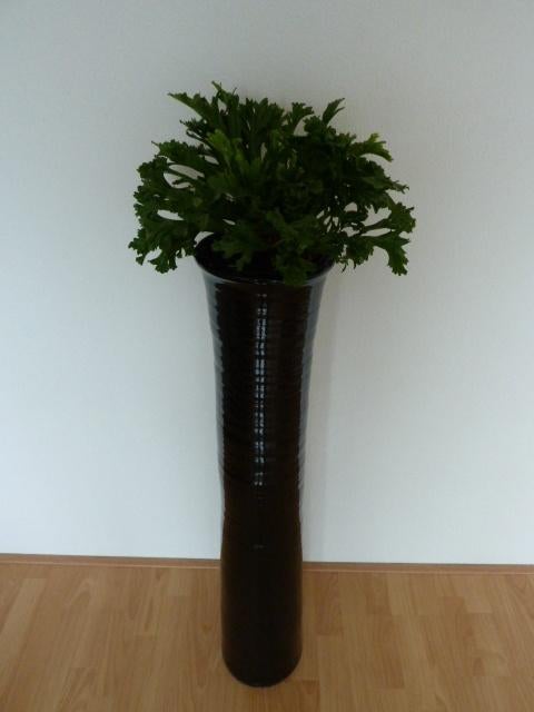 Bloempot/vaas, Ophalen, Overige kleuren, Aardewerk of Porselein, Zo goed als nieuw