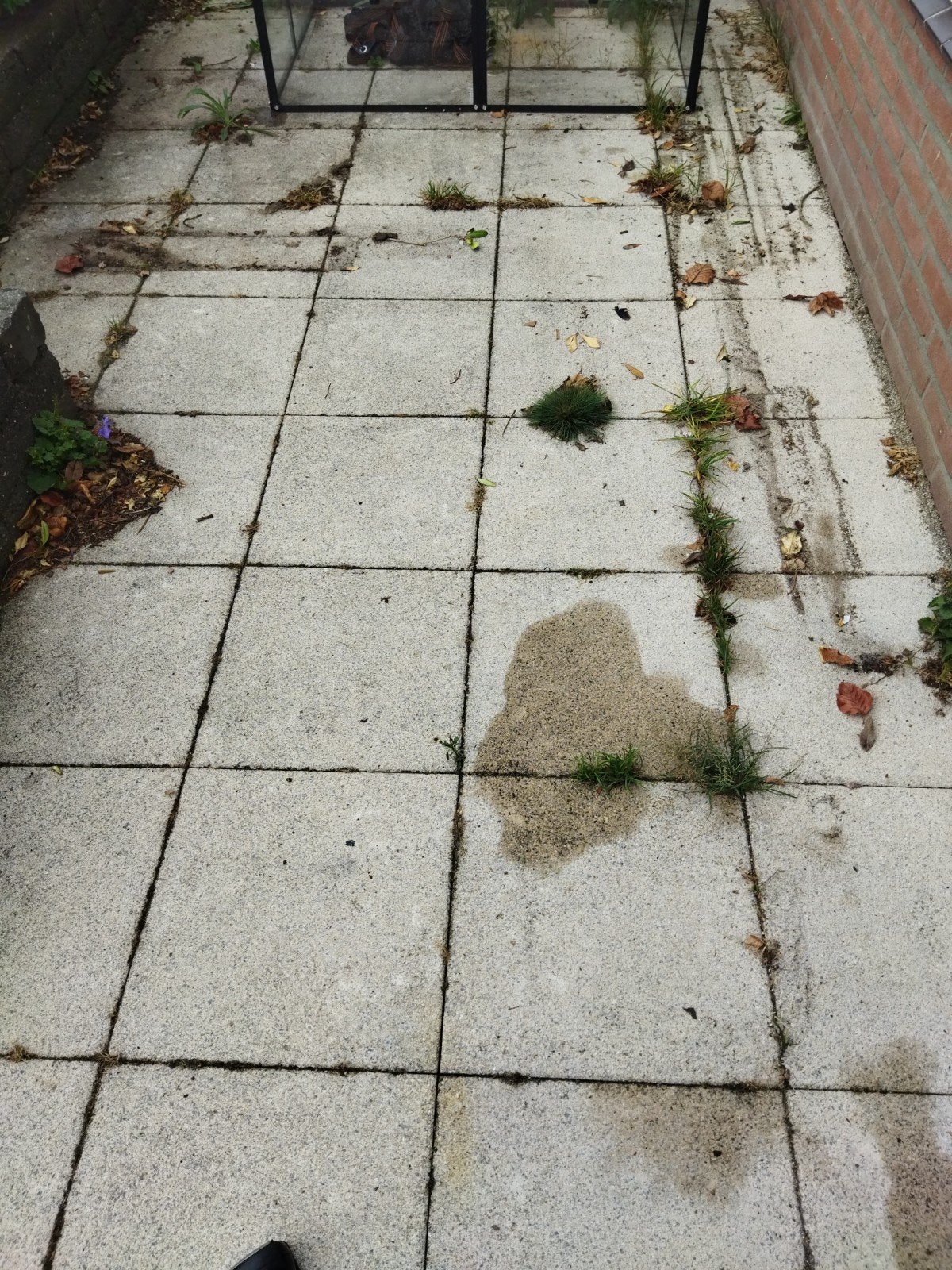 GRATIS Witte tuintegels 40x40 cm - af te halen dit we, Tuin en Terras, Ophalen, Gebruikt, 5 tot 10 m², Beton