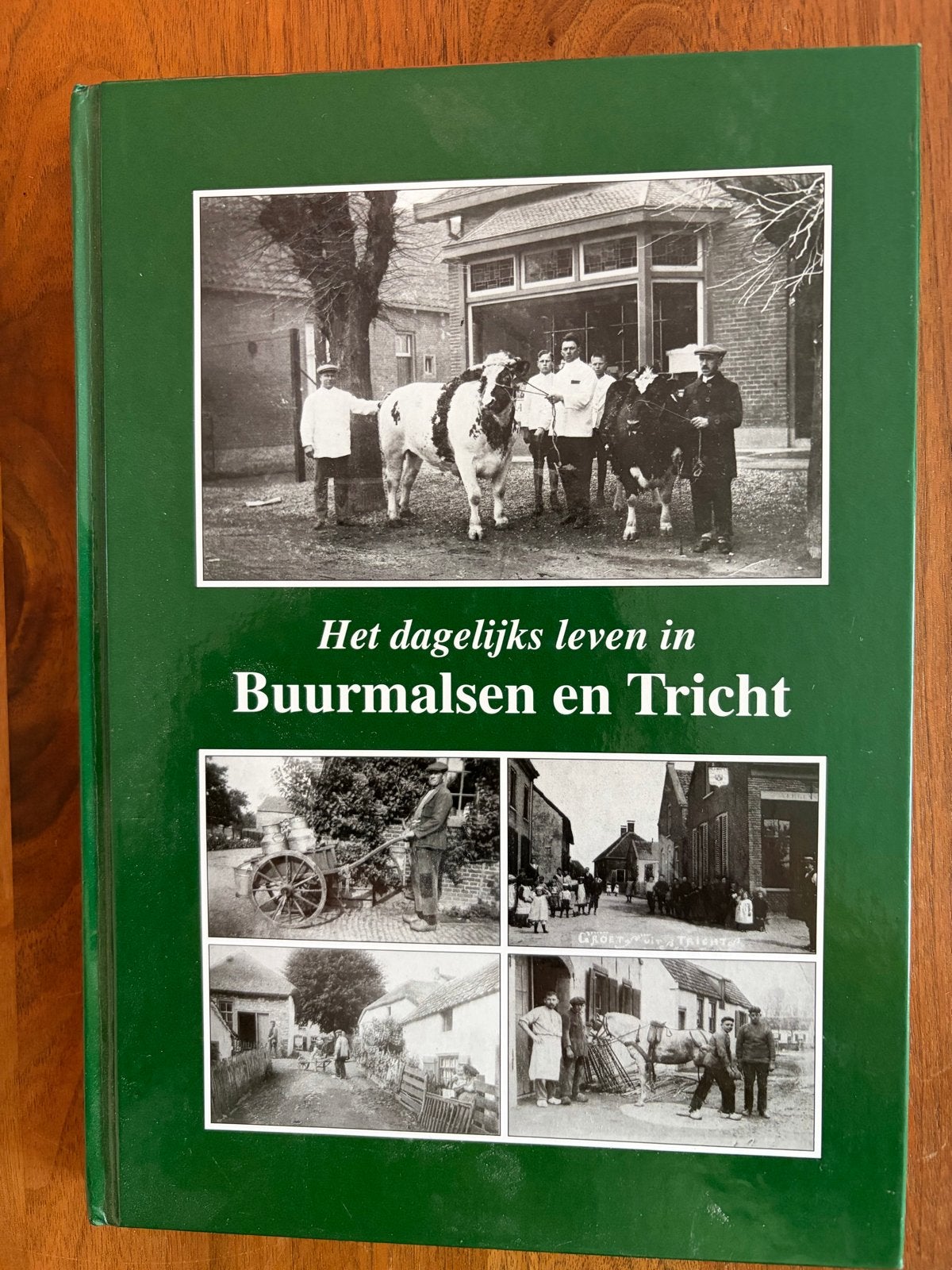 Het dagelijks leven in Buurmalsen en Tricht, Ophalen of Verzenden, 20e eeuw of later, Gelezen