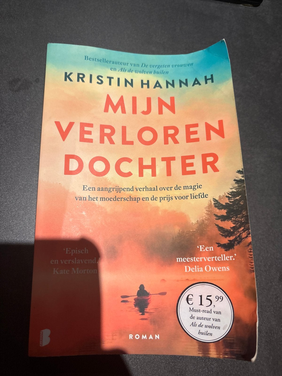 Mijn Verloren Dochter - Kristin Hannah (Roman), Ophalen of Verzenden, Gelezen, Nederland
