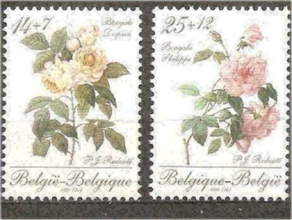 Belgie 1990 - Yvert 2354-2355 /OBP 2353-2354 - Flora (PF), Verzenden, Postfris