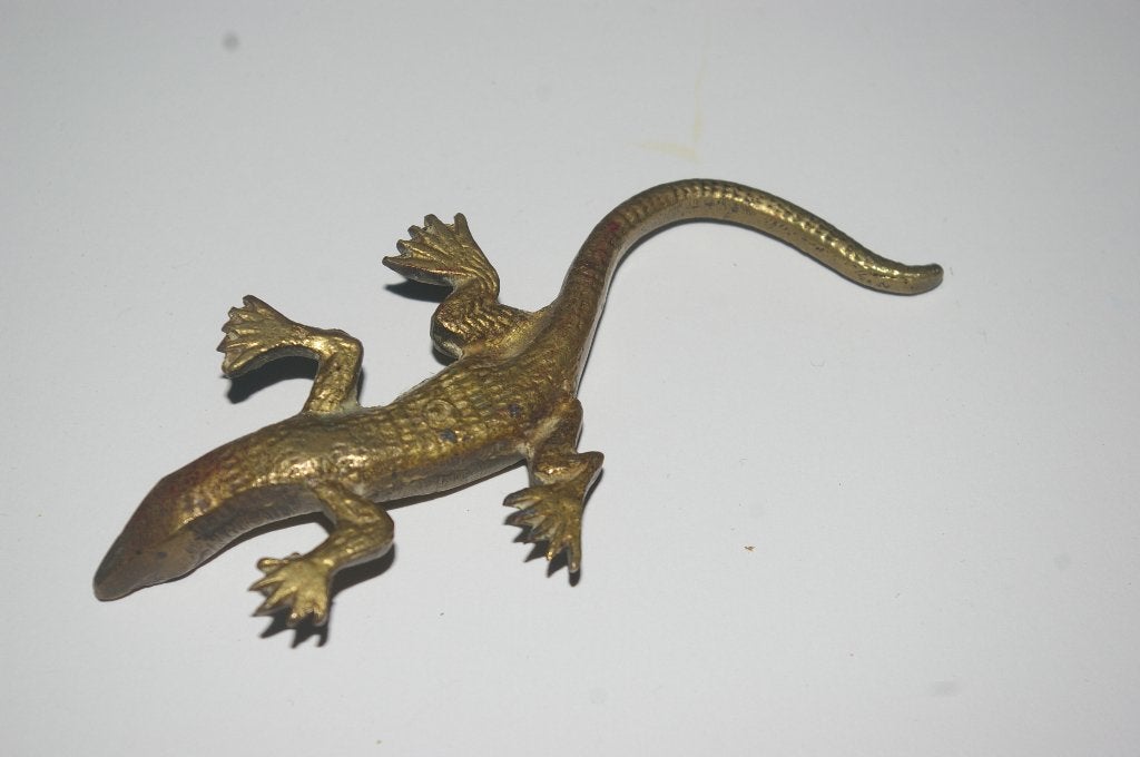 Retro koperen hagedis., Ophalen of Verzenden, Metaal, Wandhanger