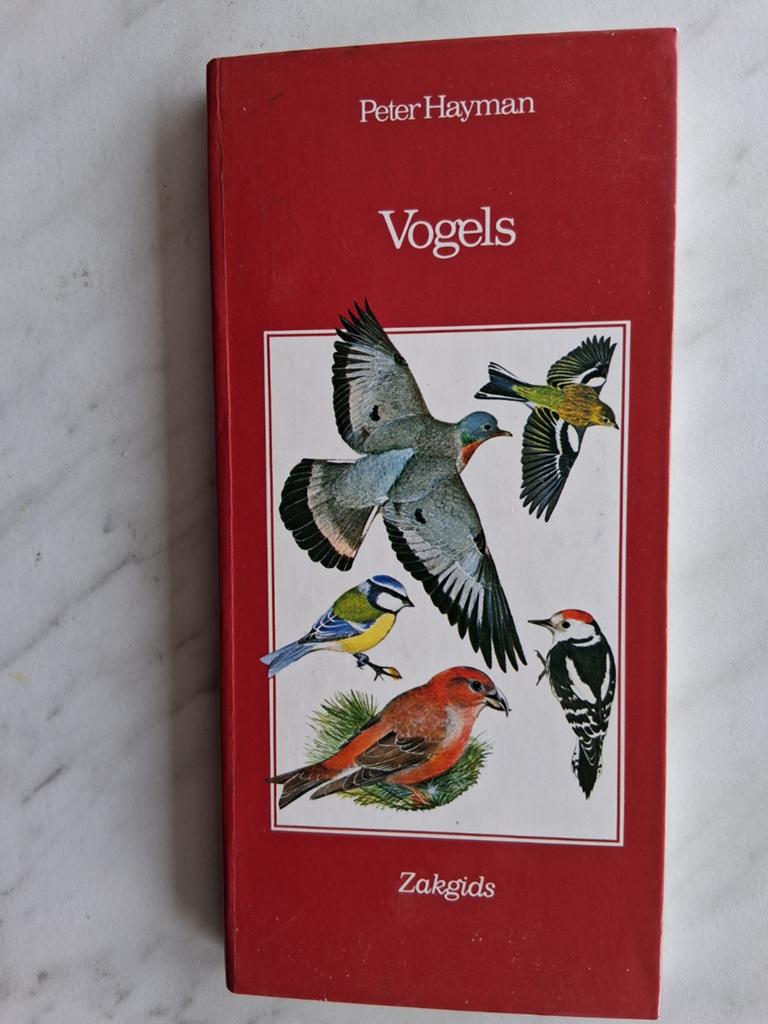 Vogels , Zakgids door Peter Hayman, Boeken, Nieuw, Ophalen of Verzenden, Vogels, Peter Hayman