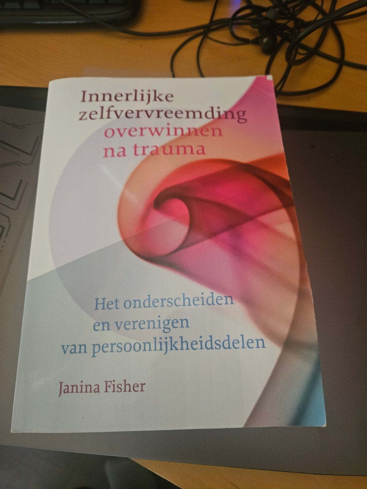 Innerlijke zelfvervreemding overwinnen na trauma, Boeken, Psychologie, Ophalen of Verzenden, Gelezen, Janina Fisher