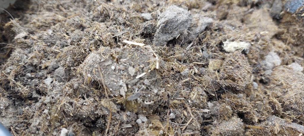 Gratis paardenmest zonder stro, Ophalen, Mest