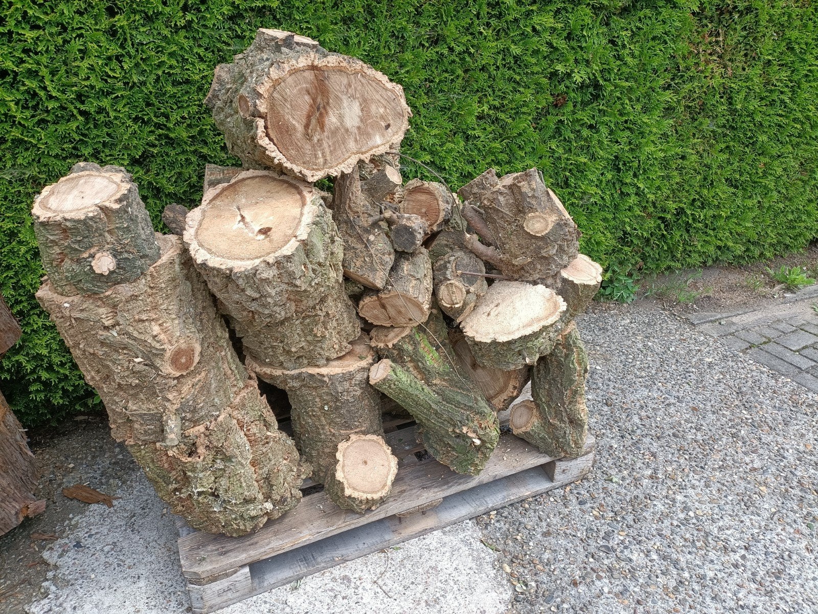 Blokken steeneik tbv haardhout, Minder dan 3 m³, Ophalen