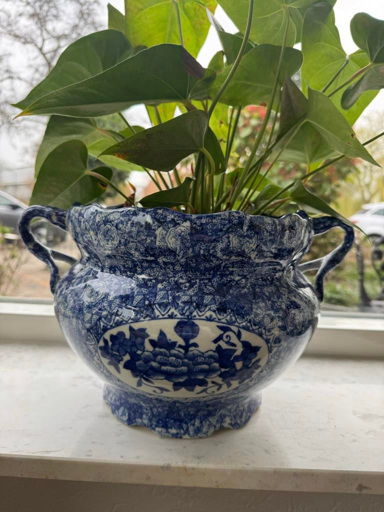 Delfsblauwe bloempotten, 4 grote en 2 kleintjes, Ophalen