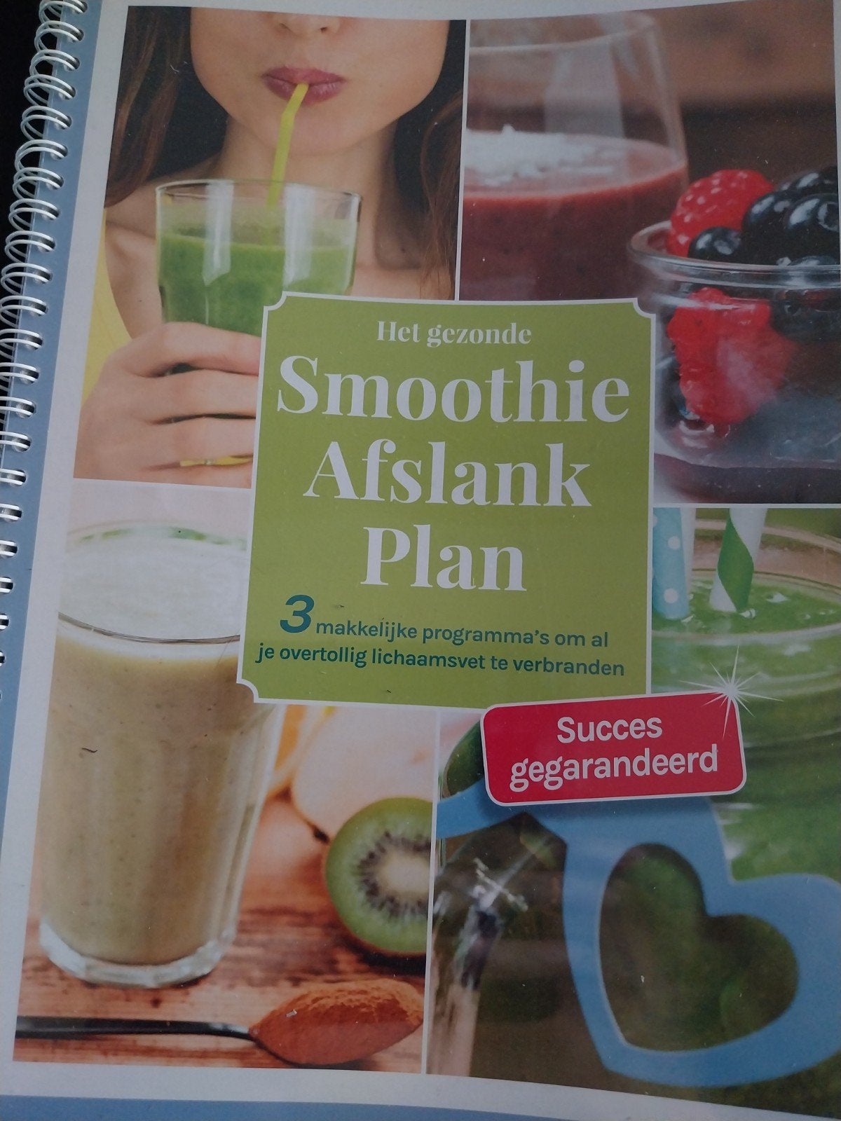 Het gezonde Smoothie Afslank Plan - Jasper Alblas, Jasper Alblas, Overige typen, Ophalen of Verzenden, Zo goed als nieuw