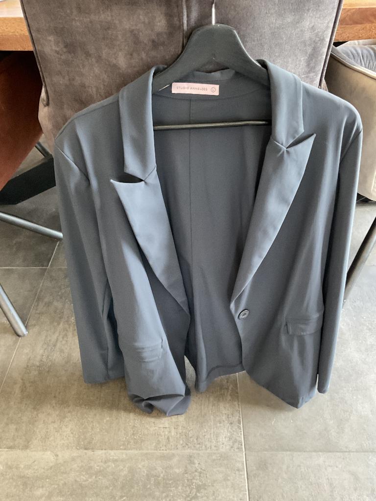 Blazer en broek grijs studio anneloes maat L, Studio Anneloes, Maat 42/44 (L), Ophalen of Verzenden, Zo goed als nieuw