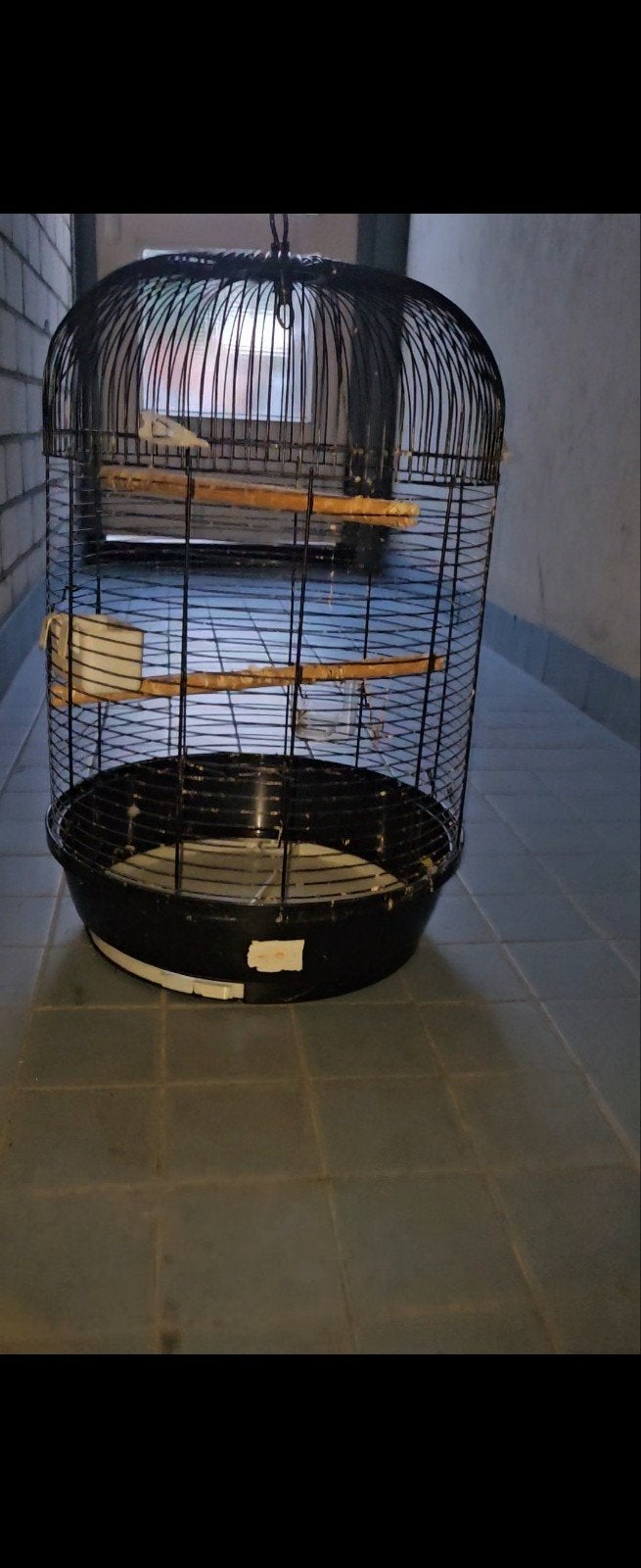 vogelkooien, Dieren en Toebehoren, Ophalen, Gebruikt, Metaal, Vogelkooi