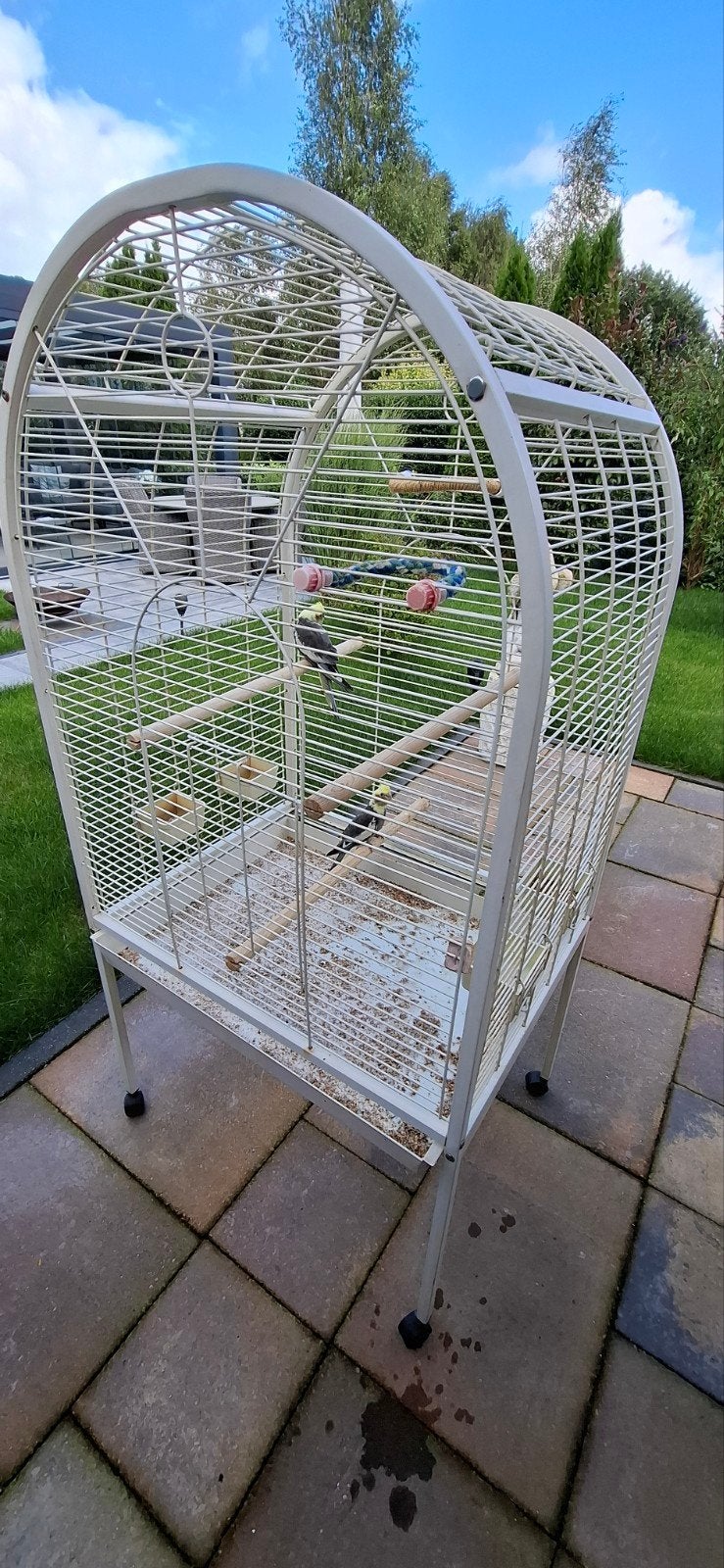 Solide grote vogelkooi met 2 jonge Valkparkieten ., Ophalen, Zo goed als nieuw, Metaal, Vogelkooi