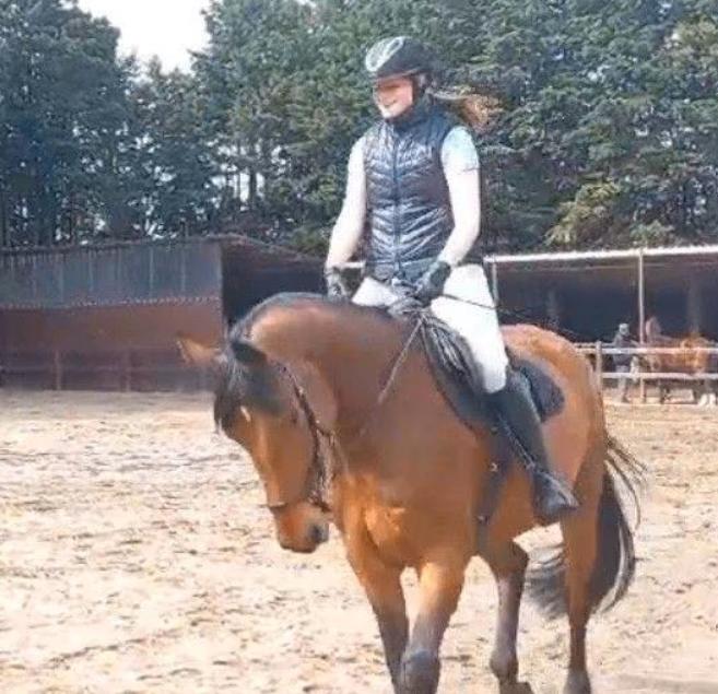 Paard te lease gezocht (verplaatsbaar), Dieren en Toebehoren, Paarden en Pony's | Overige Paardenspullen, Nieuw, Dressuur, Ophalen of Verzenden