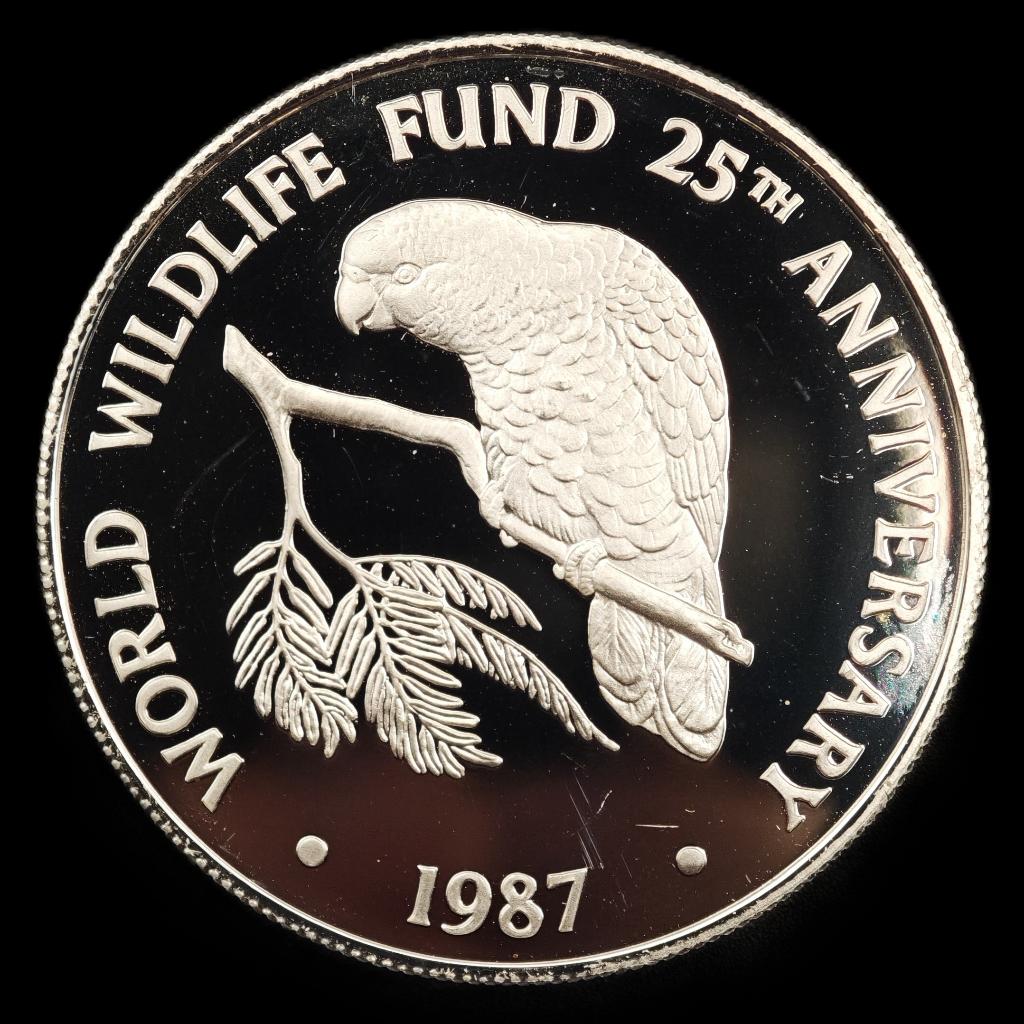 Cayman Islands 1987 25 Year WWF PROOF, Verzenden, Overige landen, Losse munt, Zilver
