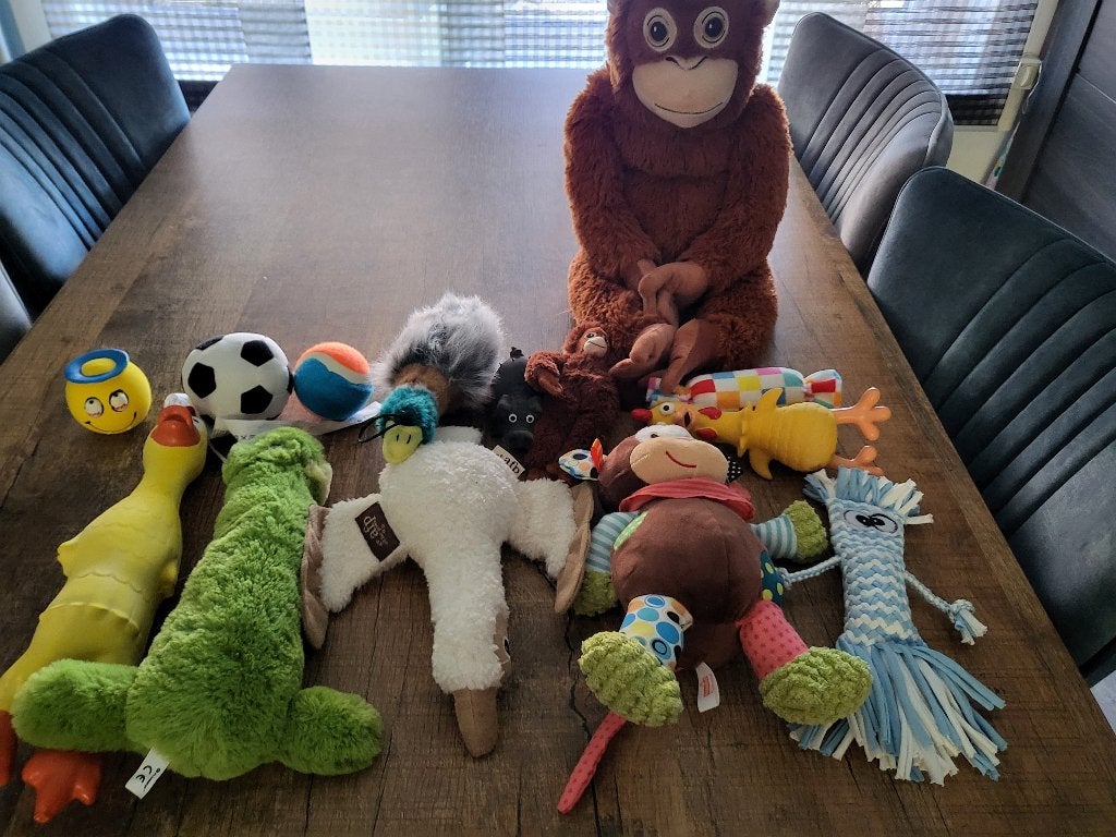 Honden speeltjes, Ophalen, Zo goed als nieuw, Piepspeelgoed, Overige merken