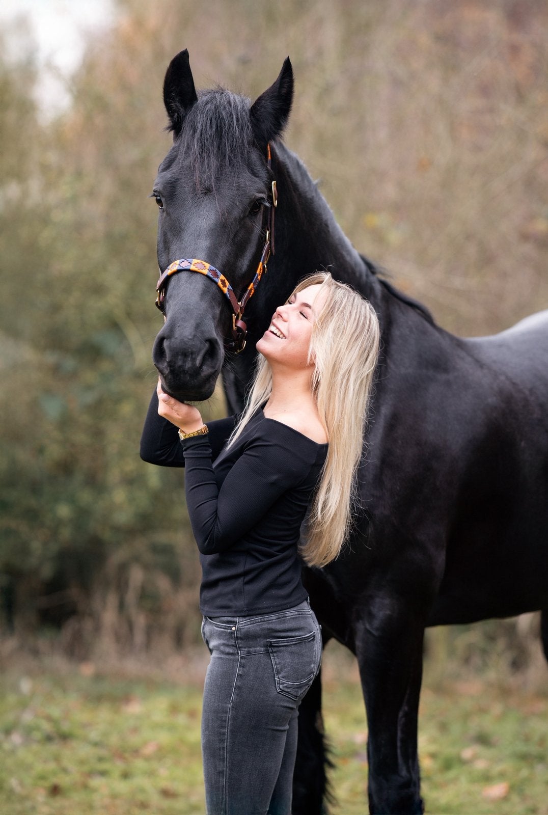Pensionstal gezocht!!, Weidegang, 1 paard of pony