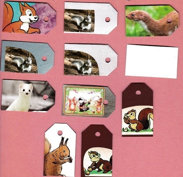 0207) eekhoorn, das, marter, wezel, knabbel en babbel labelt, Verzamelen, Dierenverzamelingen, Ophalen of Verzenden, Zo goed als nieuw
