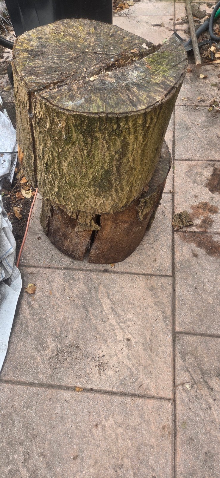 Grote boomstam voor decoratie of brandhout, Tuin en Terras, Haardhout, Minder dan 3 m³, Ophalen, Overige houtsoorten, Stammen