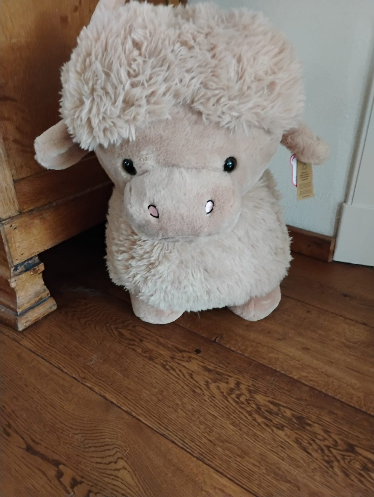 Schotse hooglander knuffel, Ophalen, Overige merken, Overige karakters, Zo goed als nieuw