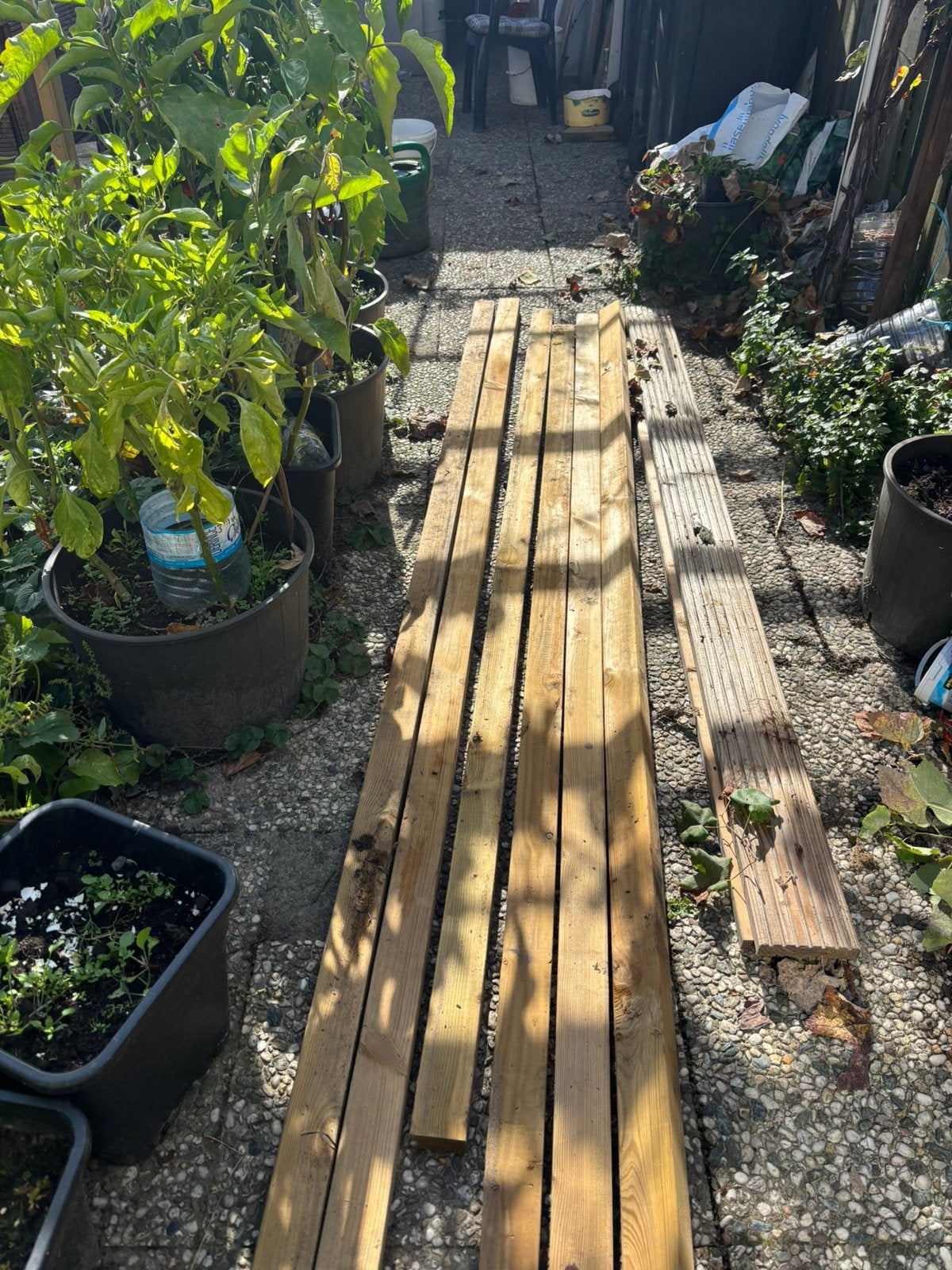 Hout balk, Gebruikt, Ophalen of Verzenden, Balk, Vuren