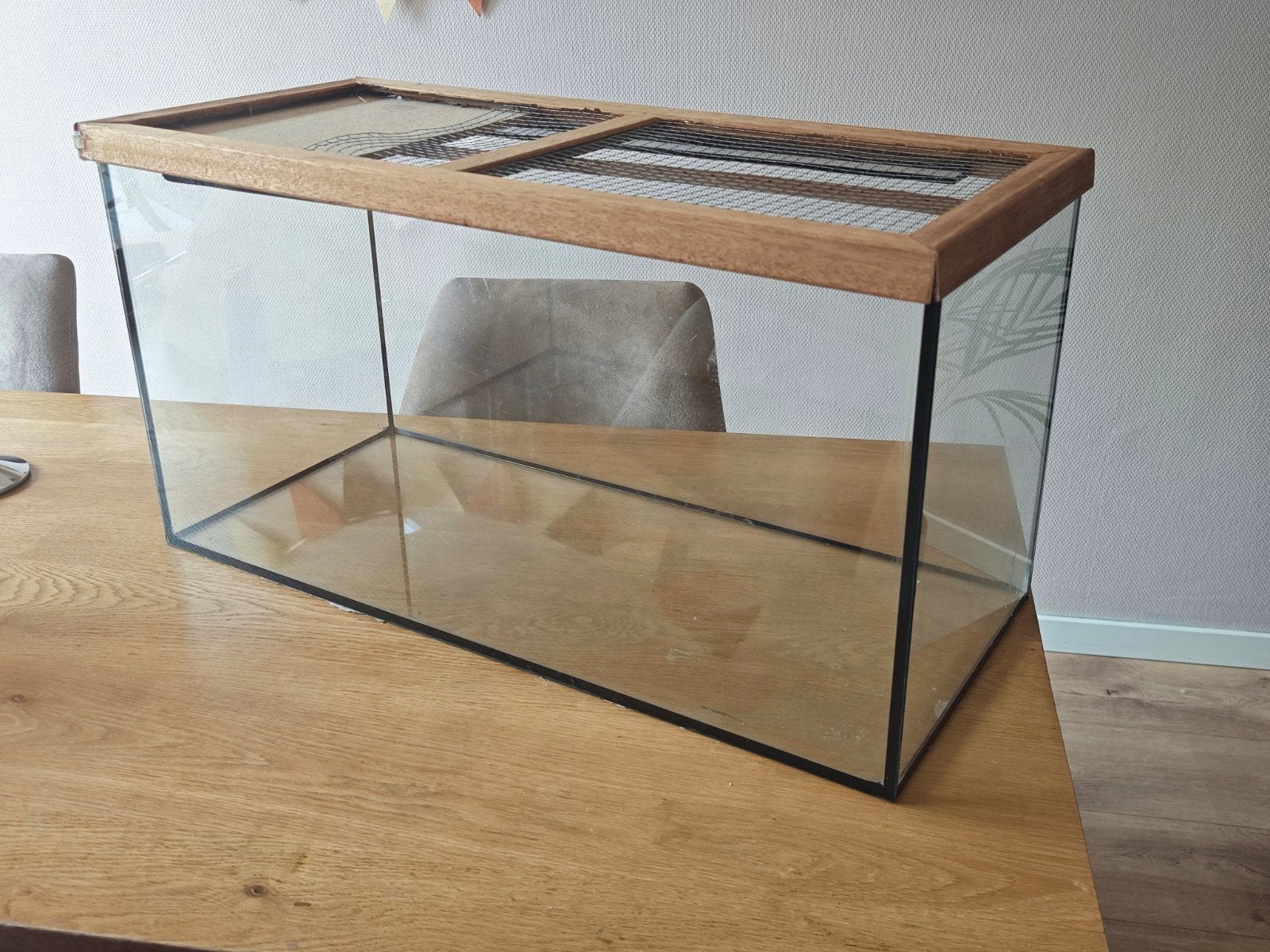 Hamsterkooi / Terrarium 80x40x50 van dik glas, Dieren en Toebehoren, Knaagdieren en Konijnen | Hokken en Kooien, Minder dan 60 cm