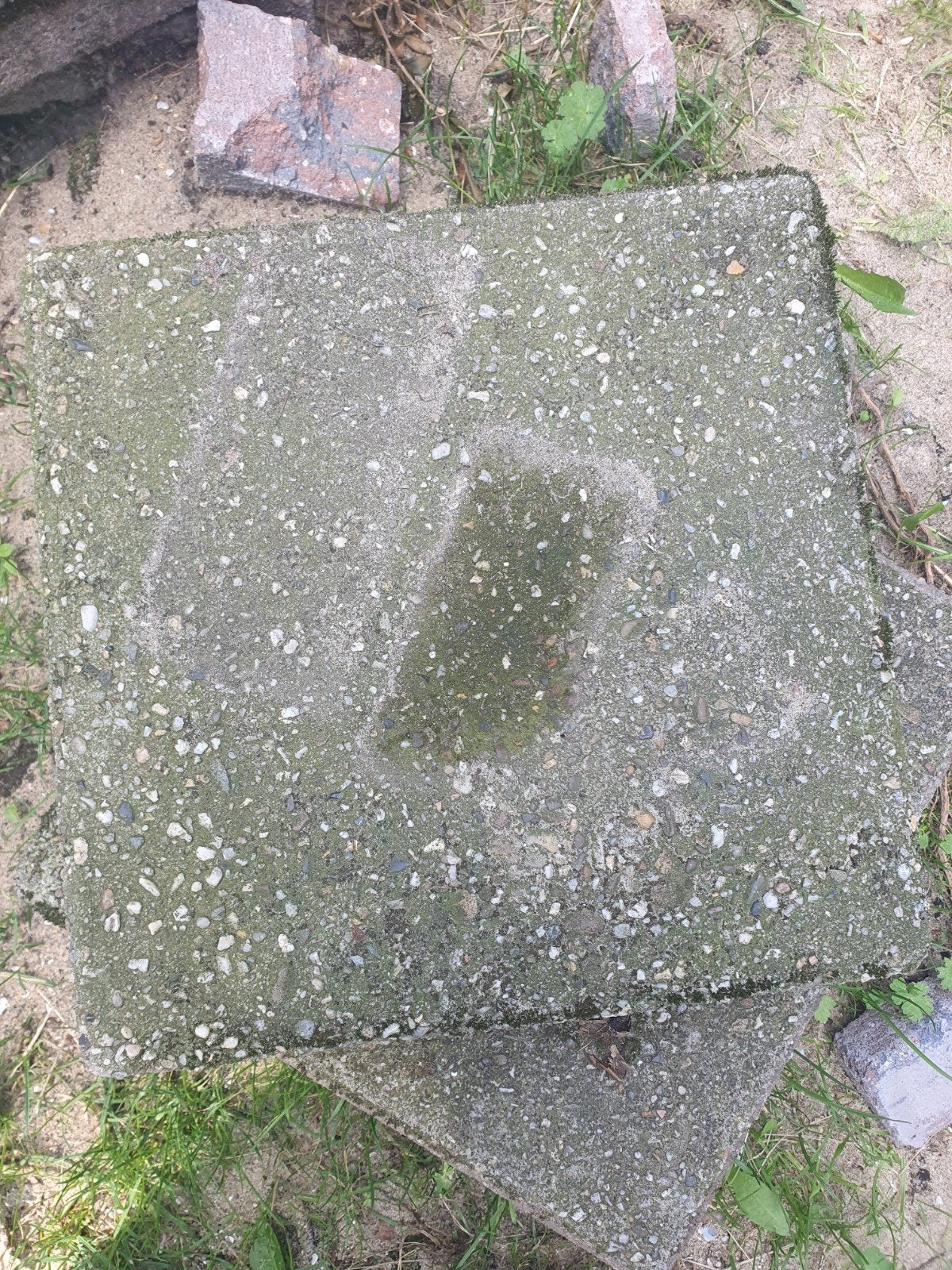 Gratis stoeptegel 65 stuks 20x20, Ophalen, Gebruikt