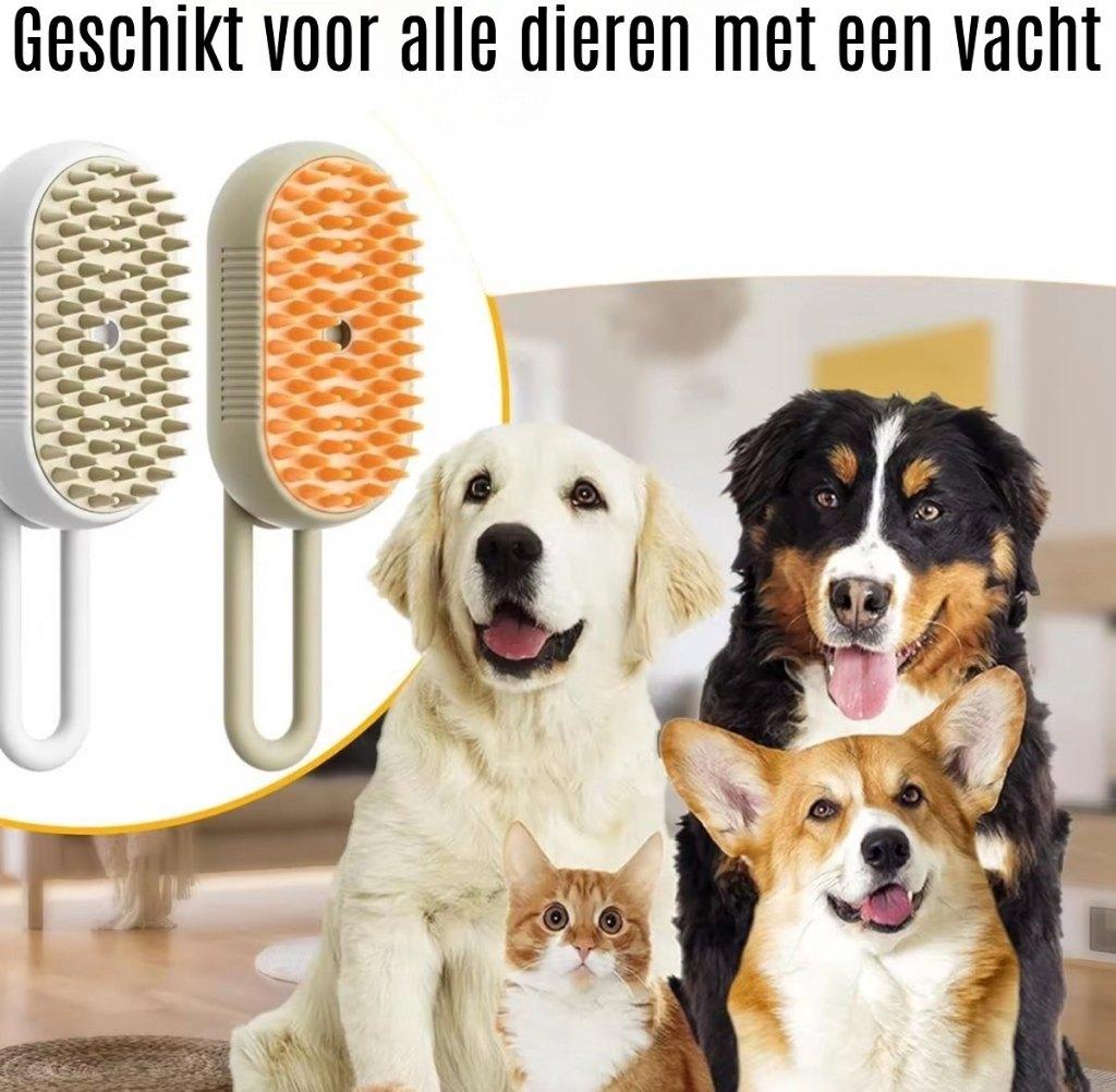 Borstel Kat, Ophalen of Verzenden, Nieuw