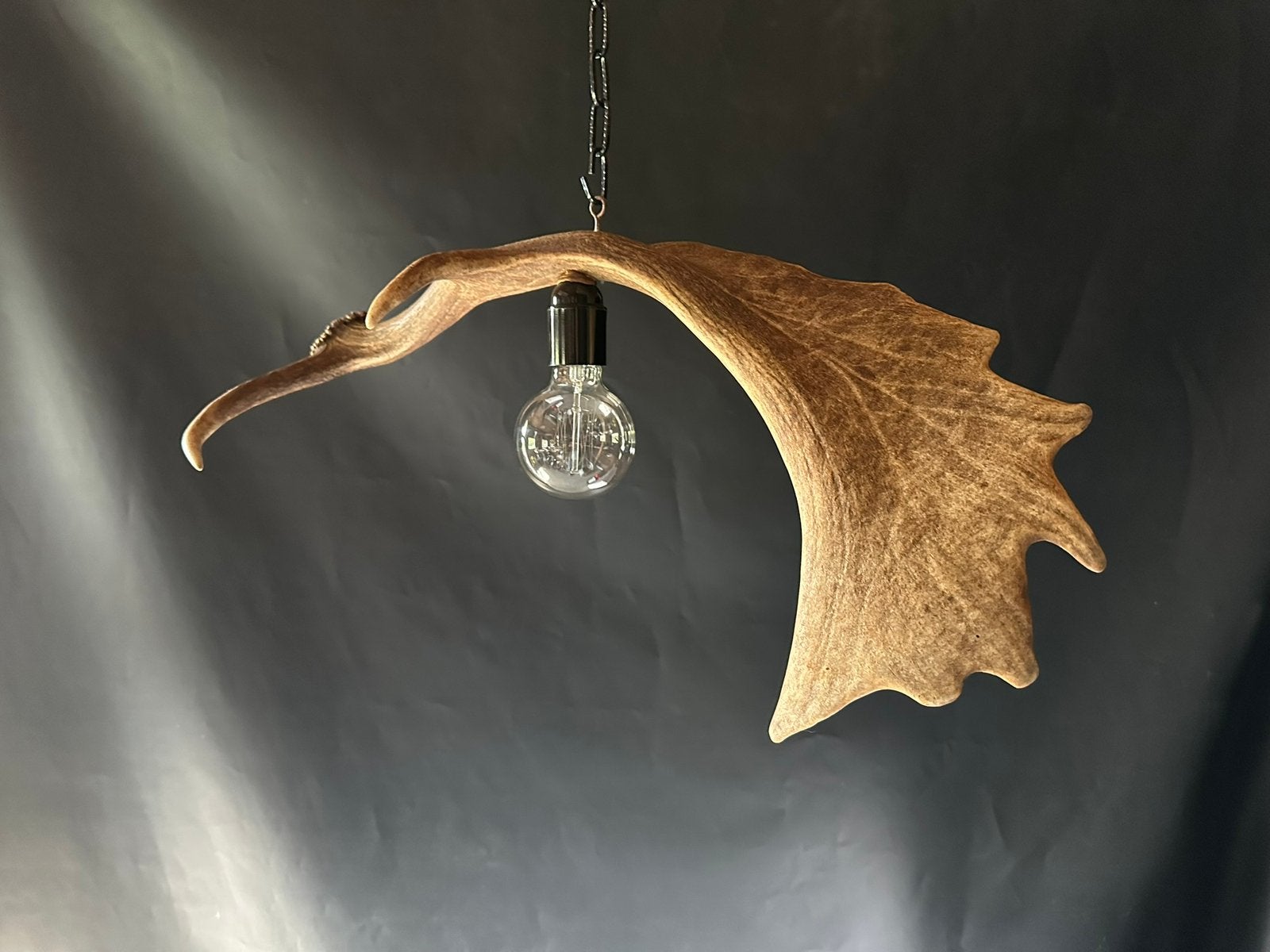 Geweienlamp.lamp.hanglamp.geweien.edelhert.damhert.brocante, Ophalen of Verzenden, Nieuw