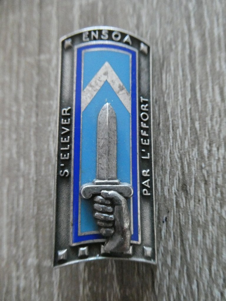 Franse borstzak speld., Verzamelen, Militaria | Algemeen, Ophalen of Verzenden, Landmacht, Overige gebieden, Embleem of Badge