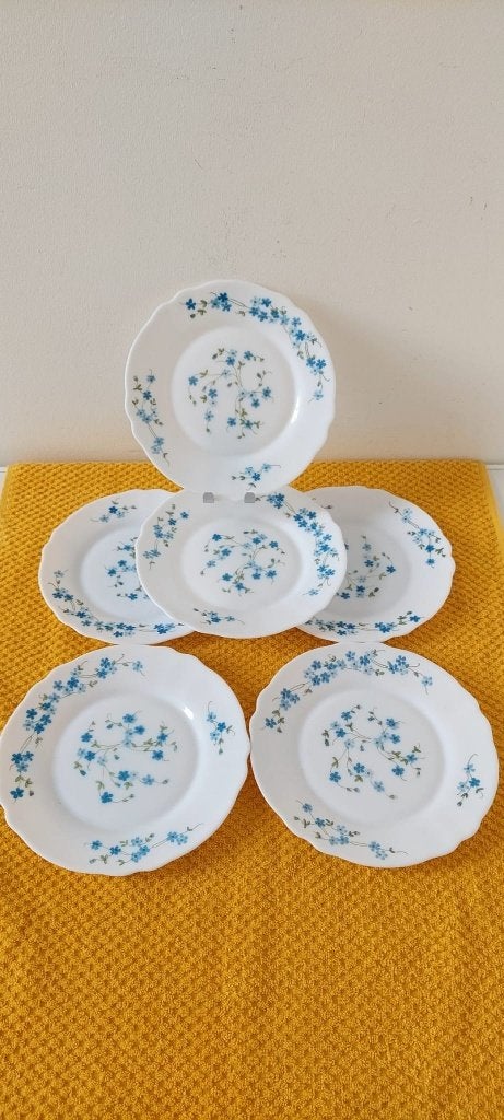 6 Vintage Arcopal Veronica borden 19,5 cm Myosotis, Eu, Overige merken, Eu, Ophalen of Verzenden